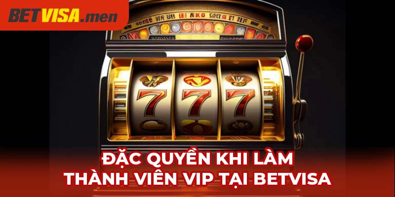 Hội Viên VIP Betvisa – Đẳng Cấp Cá Cược, Đặc Quyền Xịn 2 Đặc quyền khi làm thành viên VIP tại đây