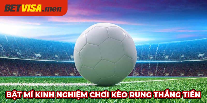 Kèo Rung Betvisa – Định Nghĩa Và Hướng Dẫn Chơi Thắng Lớn 8 Bật mí kinh nghiệm chơi kèo rung thắng tiền