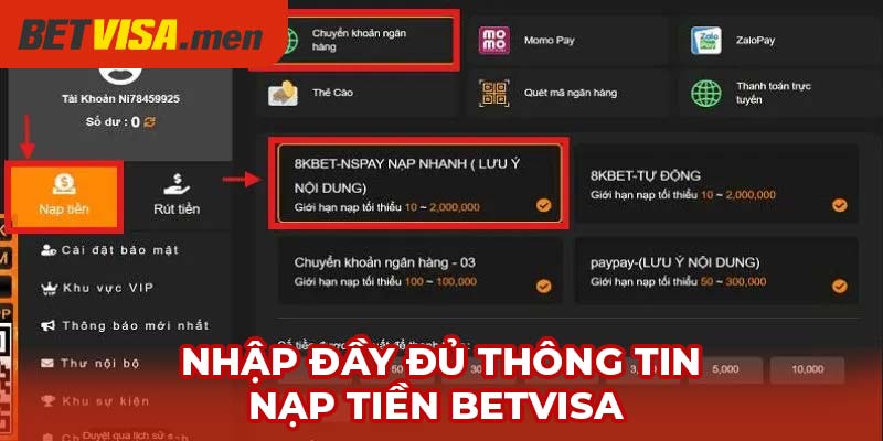 Nạp Tiền Betvisa - Phương Thức Thanh Toán Linh Hoạt 1 Nhập đầy đủ thông tin nạp tiền Betvisa