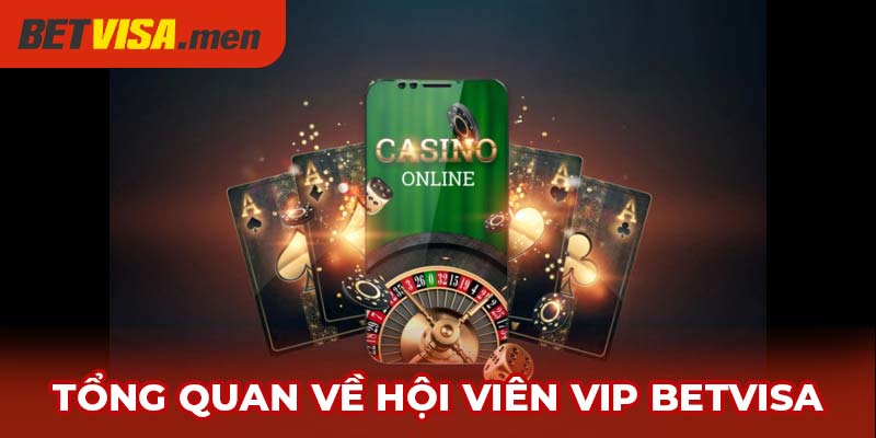 Hội Viên VIP Betvisa – Đẳng Cấp Cá Cược, Đặc Quyền Xịn 1 Tổng quan về hội viên VIP Betvisa là gì?